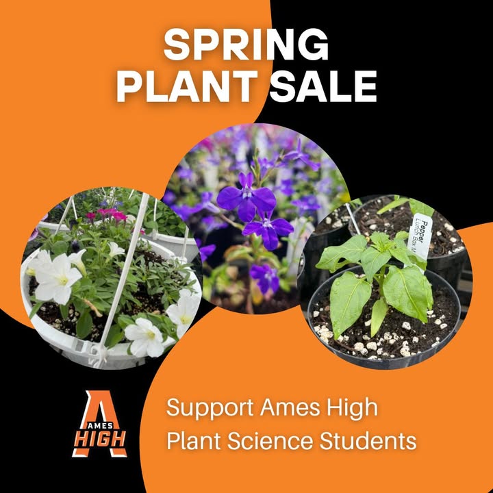 The AHS Greenhouse plant sale offers a variety of easy-to-care-for, beautiful plants while supporting the Ames High School plant science class. Anyone can participate by pre-ordering through the Google form or by attending in-person sale dates. Pre-ordered plants will be available for pickup (select your preferred day/time in the form). In-person sales will be:
Tuesday and Thursday (April 30, May 5, and May 7) from 8–10 am and 1–3 pm
Wednesday and Friday (May 1, May 6, and May 8th) from 10:30 am–2:30 pm
Saturday, May 9 from 9-12 (or while supplies last)
Payments can be made by cash or check payable to the Ames Agriculture Department. Take advantage of this opportunity to support Ames High students.
Link to pre-order in comments. #AmesCSD #AmesHighPride
